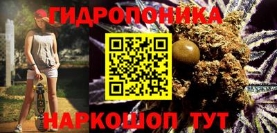 твердый Будённовск