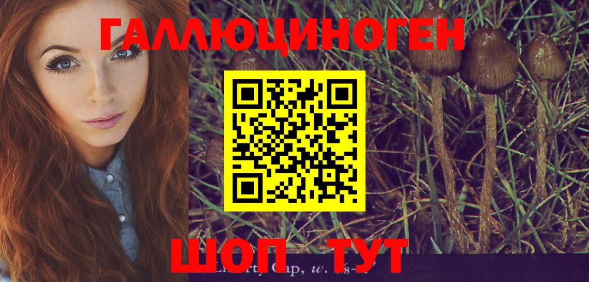 Галлюциногенные грибы MAGIC MUSHROOMS  Вход с VPN  Галлюциногенные грибы мицелий  Вышний Волочёк 